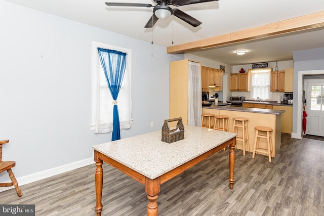 dining area featuring hardwood / wood-style floors, sink, and ceiling fan