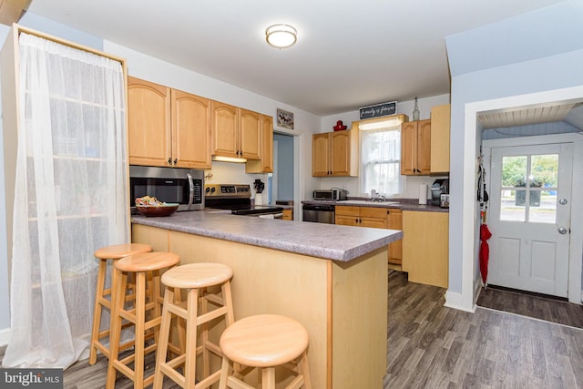 kitchen with plenty of natural light, appliances with stainless steel finishes, kitchen peninsula, and a kitchen breakfast bar