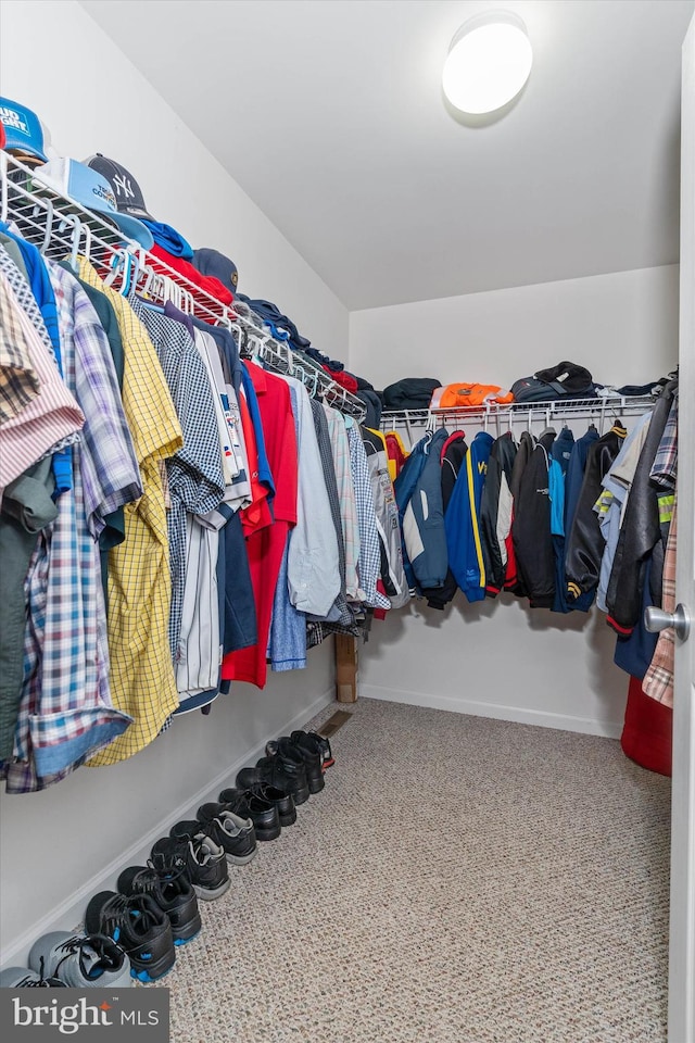 spacious closet featuring carpet floors