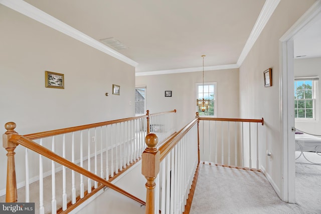 corridor featuring light carpet, crown molding, a chandelier, and plenty of natural light