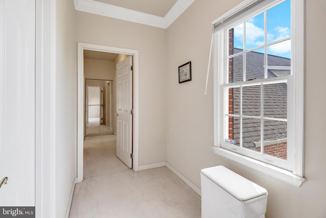 hall featuring crown molding and light colored carpet