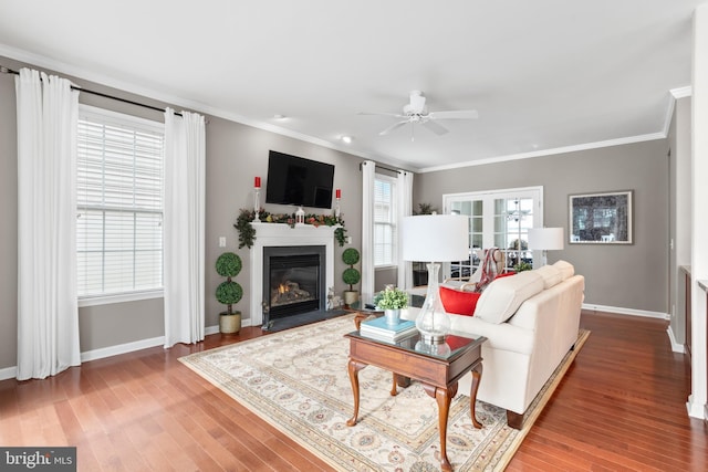 living room with hardwood / wood-style floors, ceiling fan, and crown molding