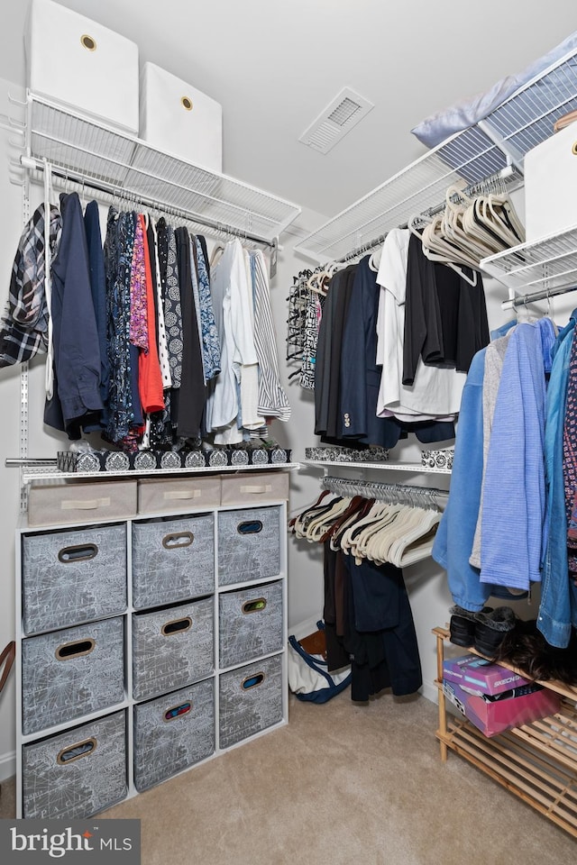 walk in closet featuring light colored carpet