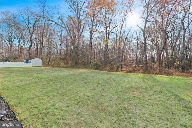 view of yard featuring a shed