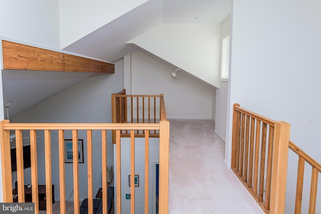 stairway featuring carpet floors