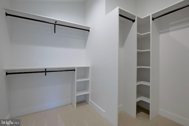 127 Shore Rd, Arnold, MD 21012 - walk in closet featuring light carpet