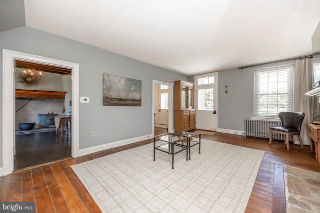 living room with radiator, wood-type flooring, and lofted ceiling