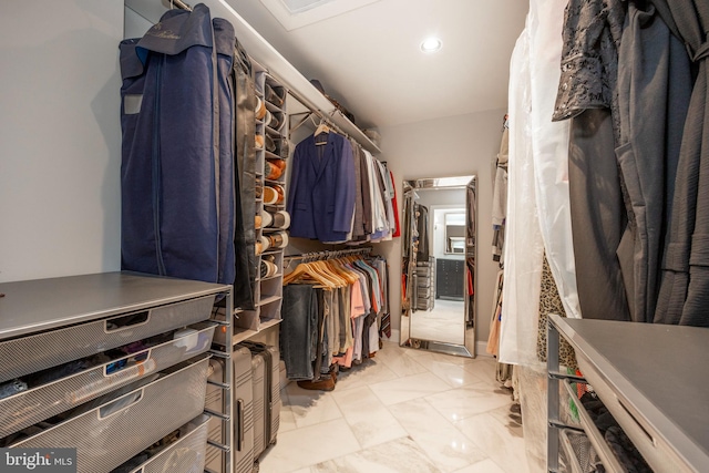 view of spacious closet