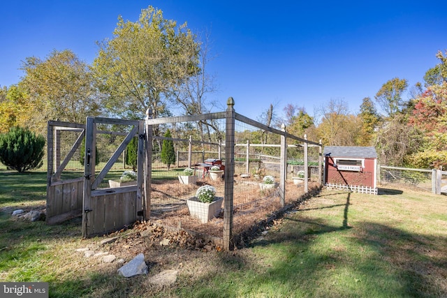 view of yard featuring a storage unit