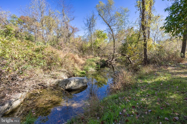 view of nature