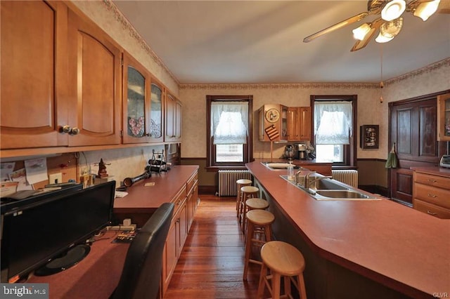 kitchen with radiator heating unit, ceiling fan, a kitchen breakfast bar, dark wood-type flooring, and sink