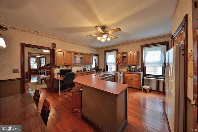 kitchen featuring dark hardwood / wood-style flooring, ceiling fan, white refrigerator, and radiator