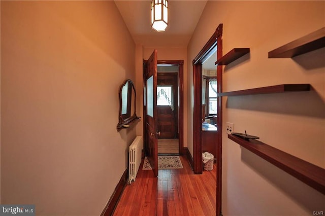 corridor with radiator and wood-type flooring