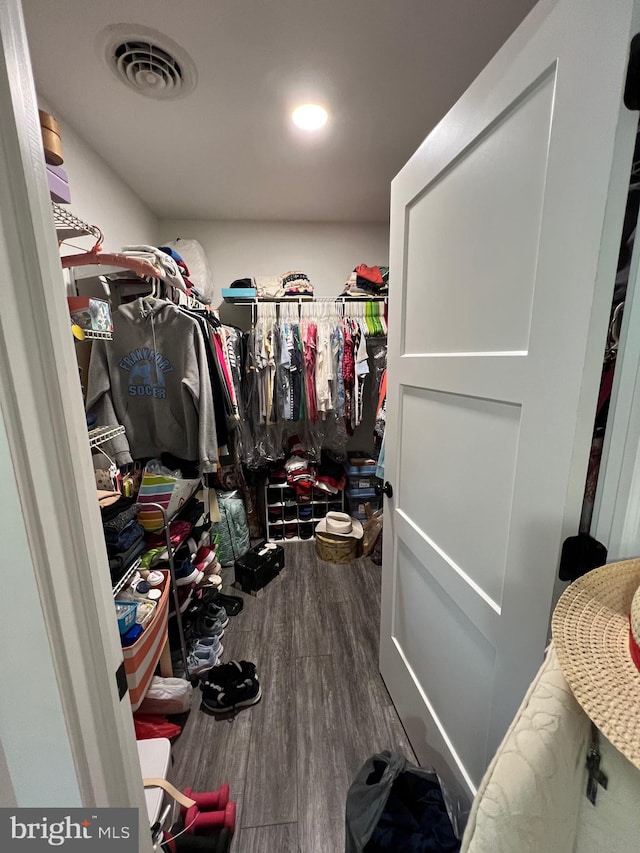 spacious closet with hardwood / wood-style flooring