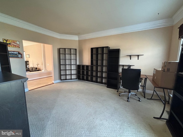 office area featuring carpet and ornamental molding