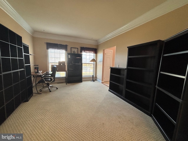 office featuring carpet floors and ornamental molding