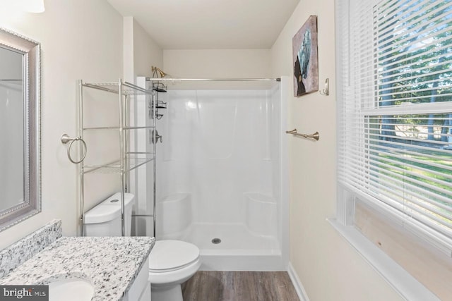 bathroom with vanity, toilet, a shower, and wood-type flooring