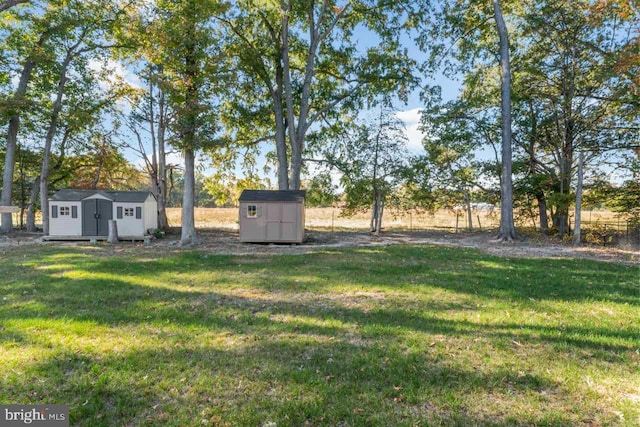 view of yard with a storage unit