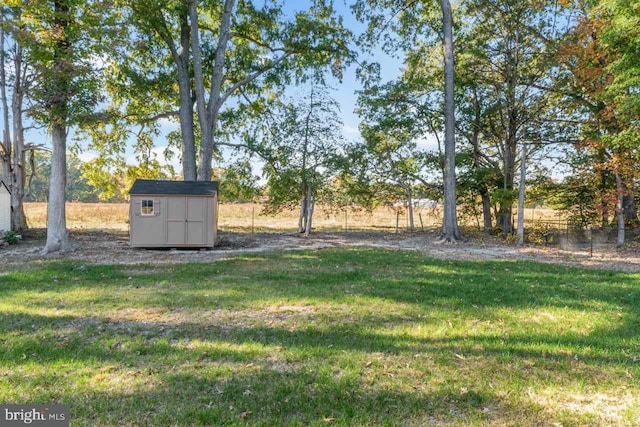 view of yard with a storage shed