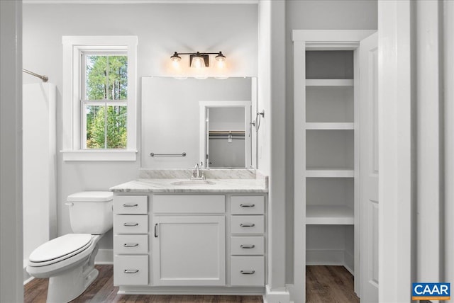 bathroom with vanity, toilet, and wood-type flooring