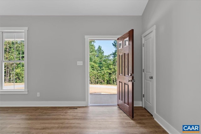 entrance foyer with light hardwood / wood-style flooring and plenty of natural light