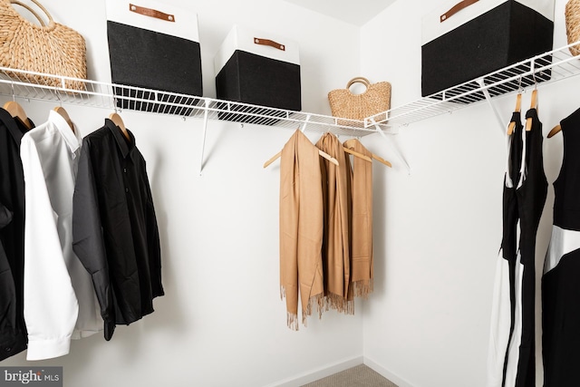 spacious closet with carpet floors