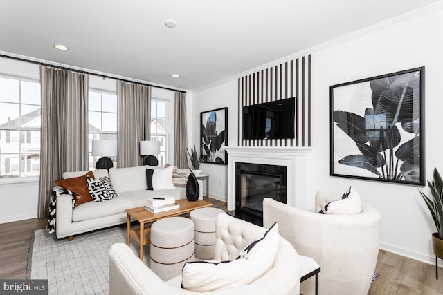 living room featuring crown molding and hardwood / wood-style flooring