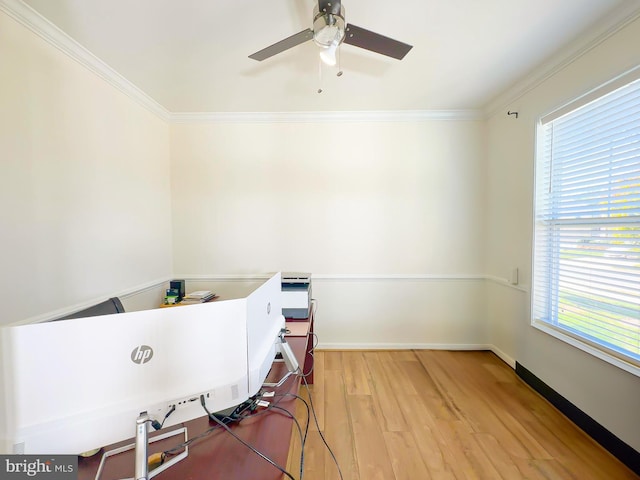 interior space featuring ceiling fan, ornamental molding, a wealth of natural light, and light wood-type flooring