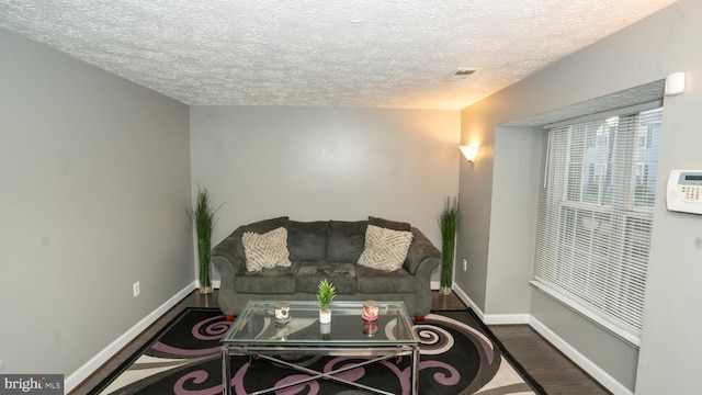 living room featuring dark hardwood / wood-style flooring and a textured ceiling