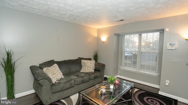 living room featuring a textured ceiling and hardwood / wood-style flooring