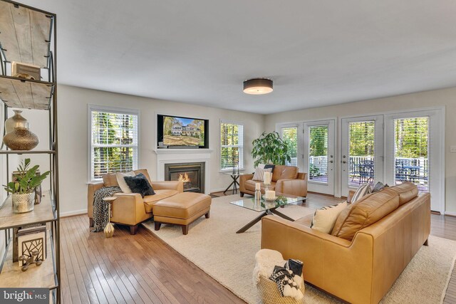 living room featuring light hardwood / wood-style floors