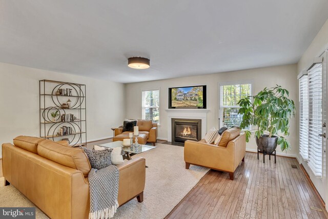 living room with light hardwood / wood-style floors