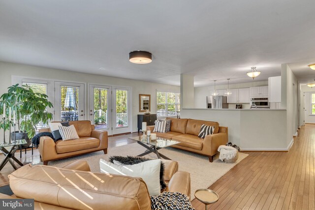 living room featuring light hardwood / wood-style floors and a healthy amount of sunlight