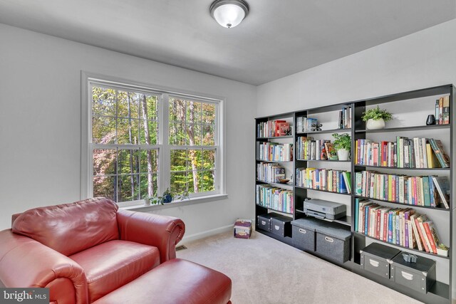 sitting room featuring carpet