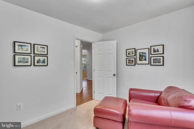 sitting room with light carpet