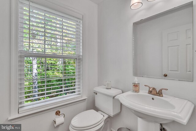 bathroom with sink, toilet, and a healthy amount of sunlight