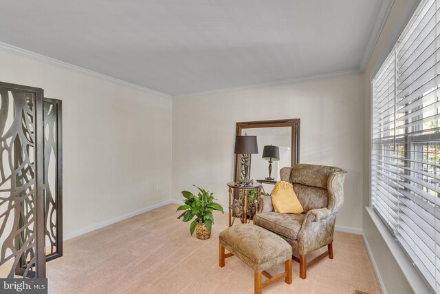 living area featuring ornamental molding and light colored carpet