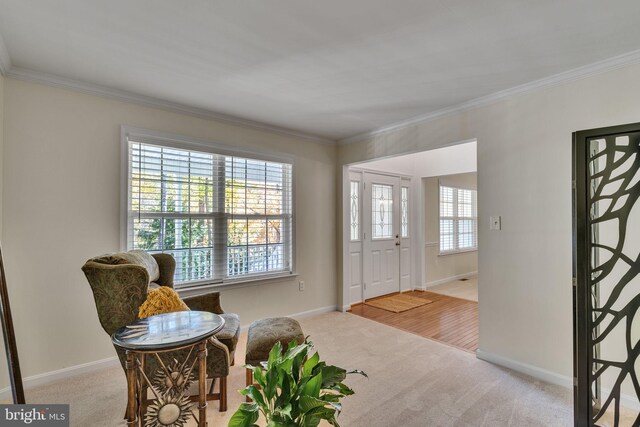 living area featuring crown molding and light carpet