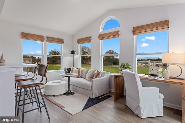 living room with light hardwood / wood-style floors and lofted ceiling