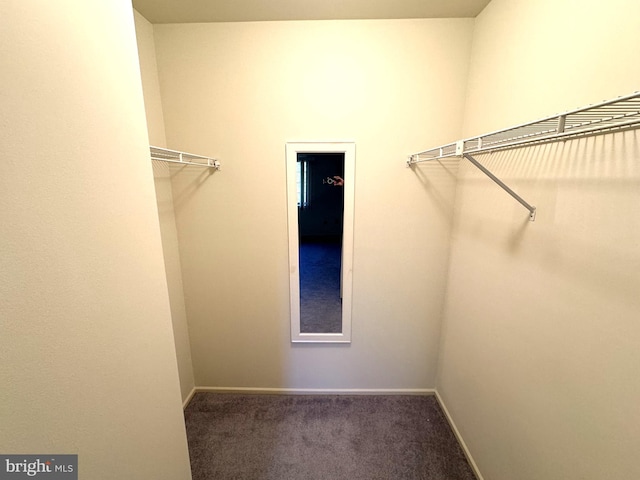 spacious closet with carpet floors