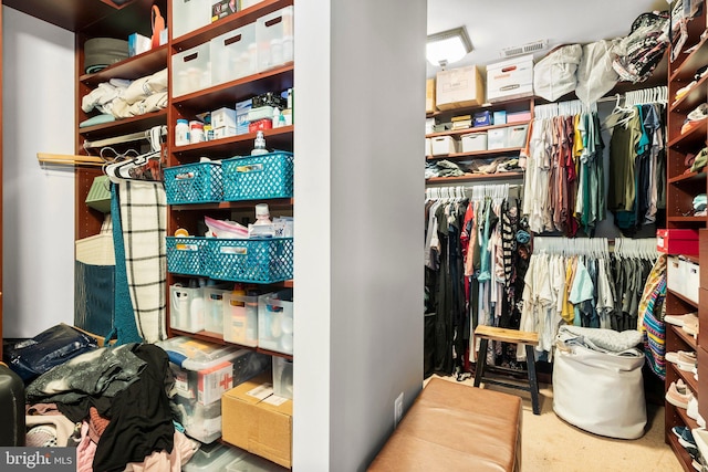 view of spacious closet