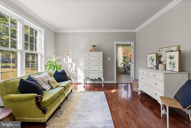 sitting room with crown molding, a healthy amount of sunlight, and dark hardwood / wood-style floors