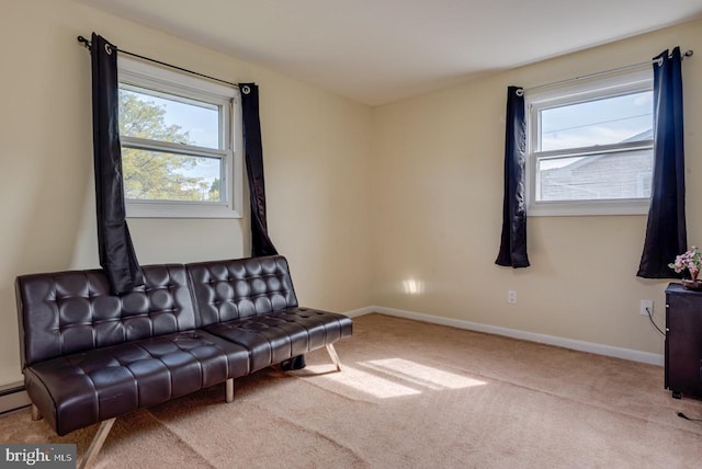 living area with light carpet