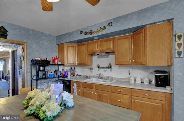 kitchen featuring sink and ceiling fan