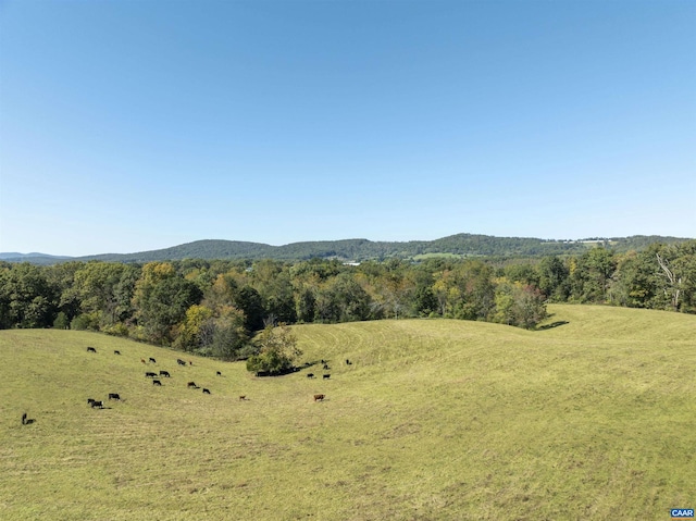 14560 Madison Run Rd, Gordonsville VA, 22942 land for sale