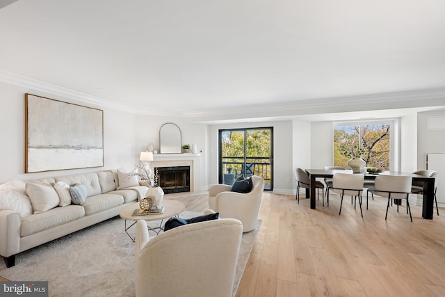 living room featuring ornamental molding and light wood-type flooring