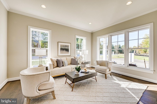 living area with a wealth of natural light, crown molding, and baseboards