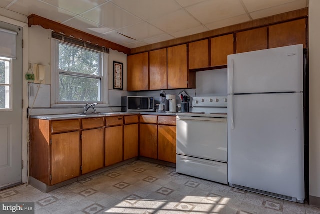 kitchen featuring white appliances, a paneled ceiling, and sink