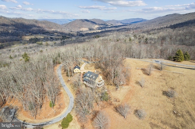 aerial view with a mountain view