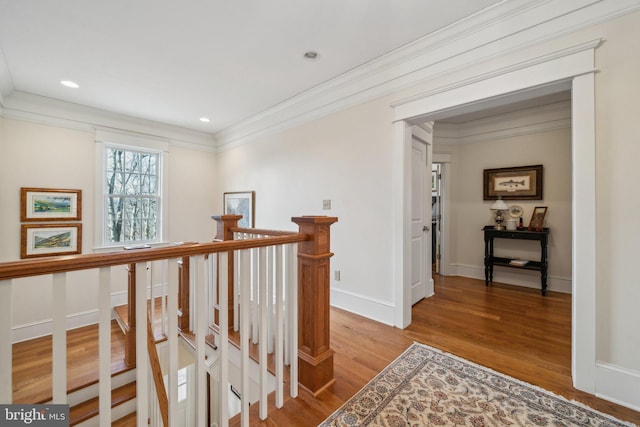 corridor featuring ornamental molding and wood-type flooring